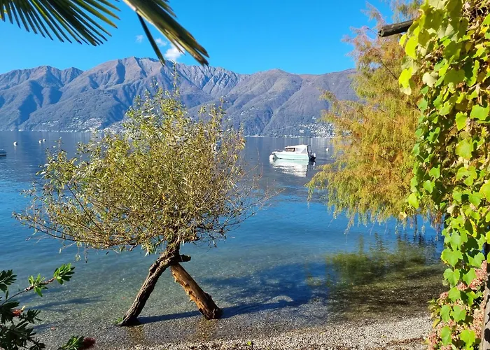 Casa Andrea Chefetage By Fewotessin